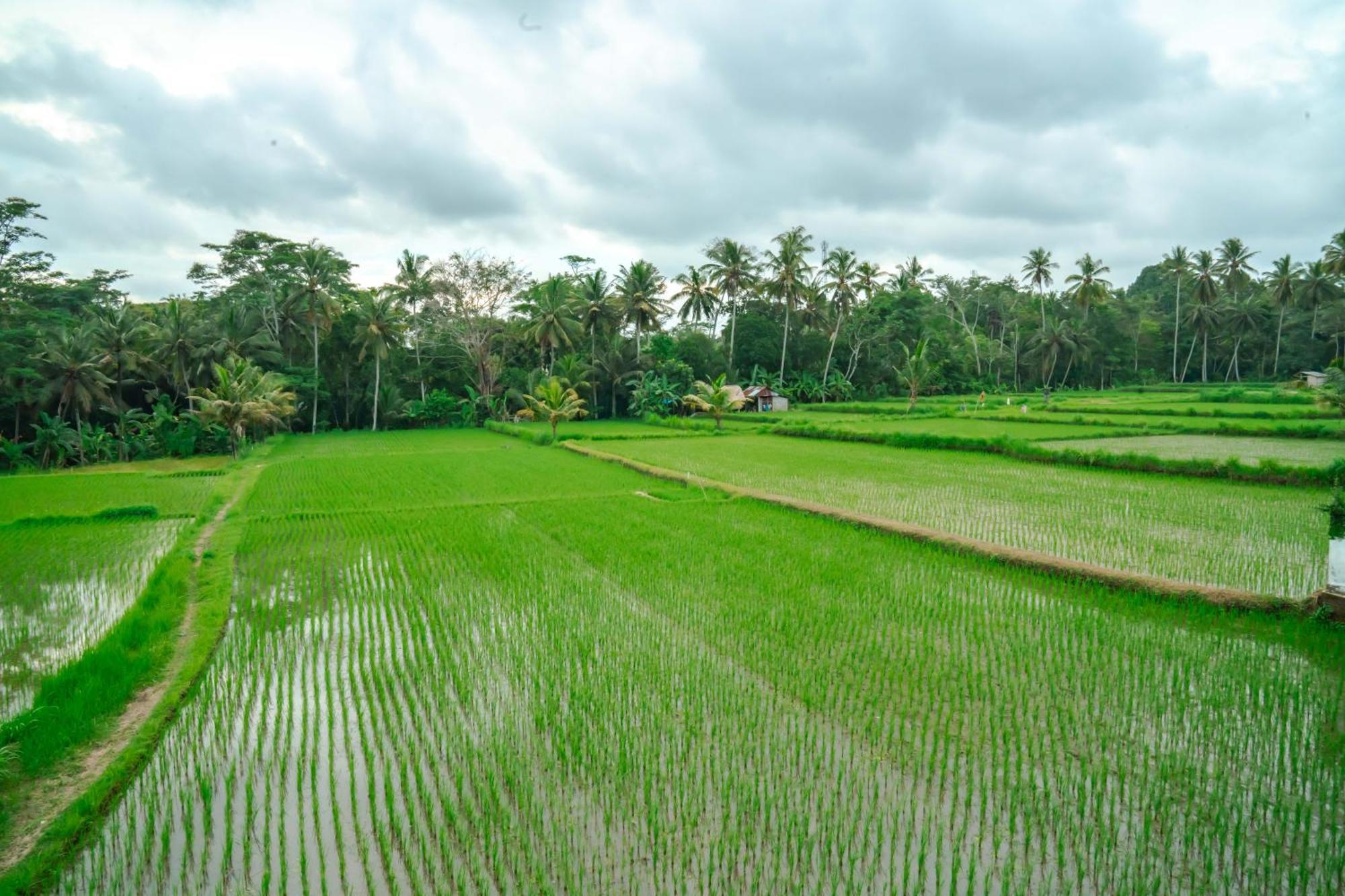 Tulus Hati Ubud Retreat Esterno foto